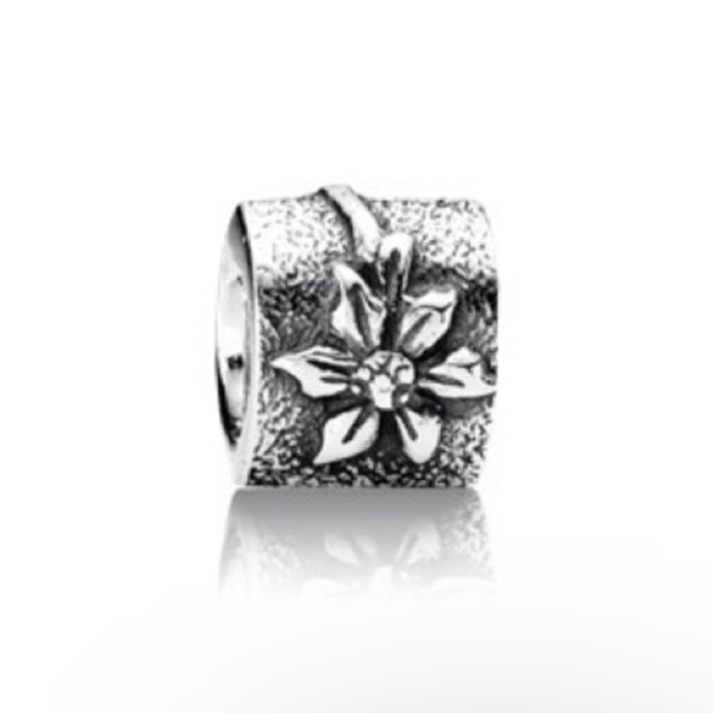 Pandora Charm